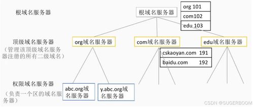 服務(wù)基礎(chǔ)第一階段第六節(jié) Windows系統(tǒng)管理基礎(chǔ)——DNS部署與安全，助力信息系統(tǒng)運(yùn)行維護(hù)服務(wù)